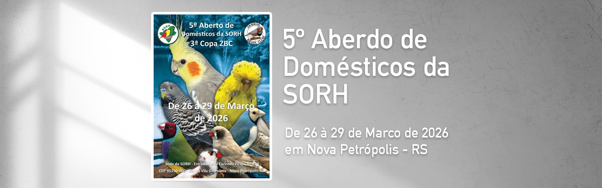 5º Aberto de domésticos da SORH