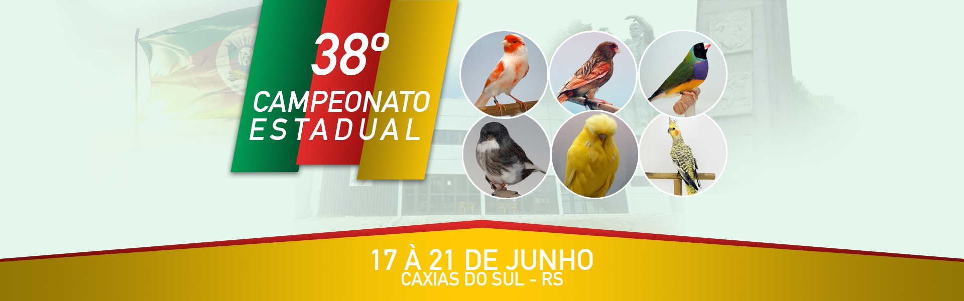 38º Campeonato Estadual