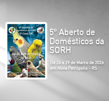 5º Aberto de domésticos da SORH