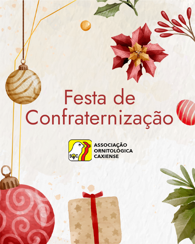 Festa de Final de Ano 2025