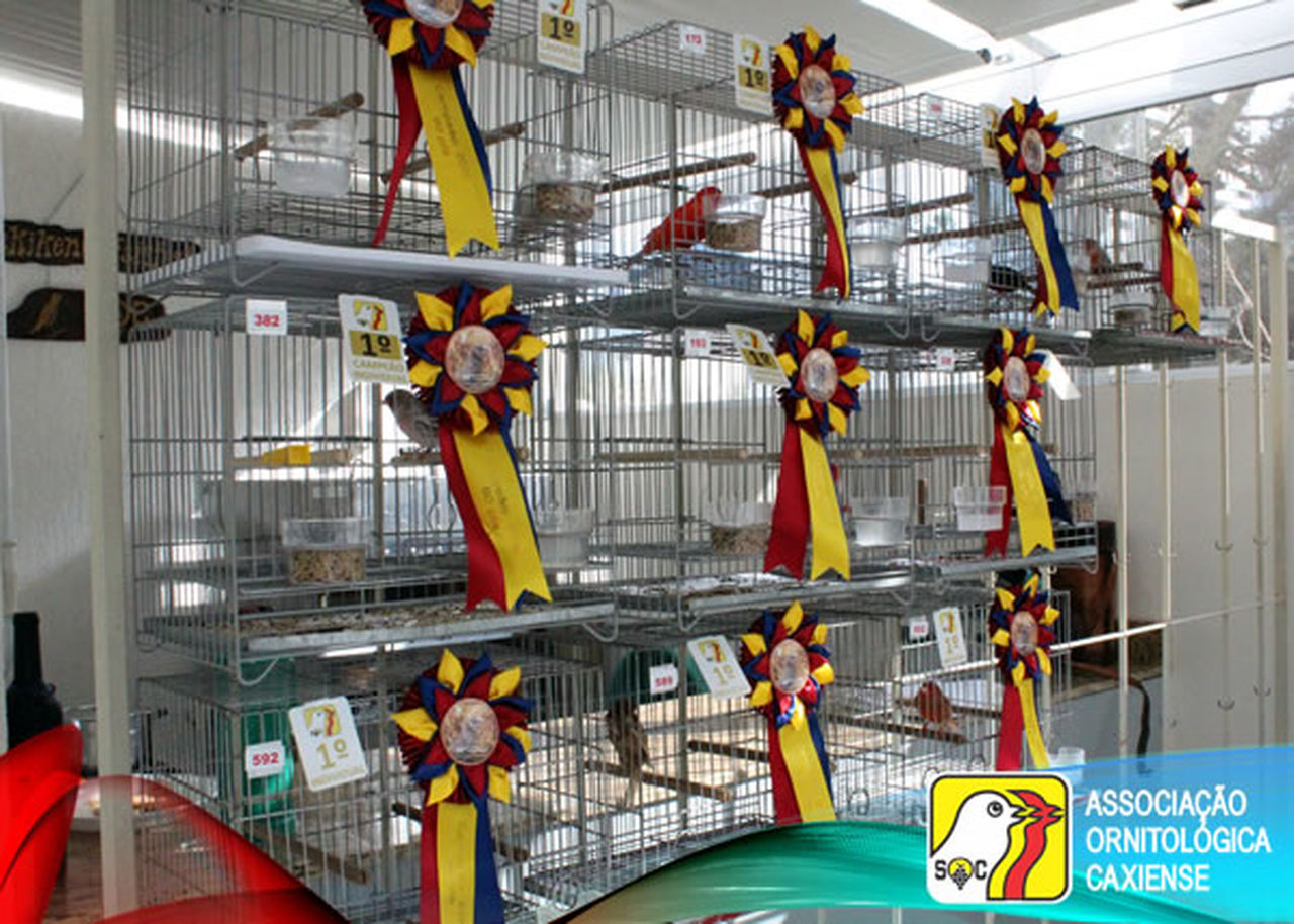 Conruso de 2ª Etapa da SOC 2019