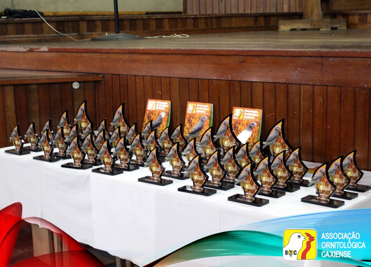 Entrega de Prêmios 2019